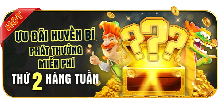 Phân tích ưu đãi mới nhất 11vn