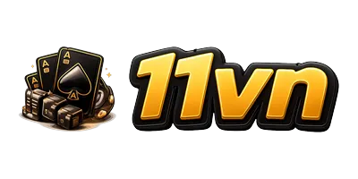 11vn